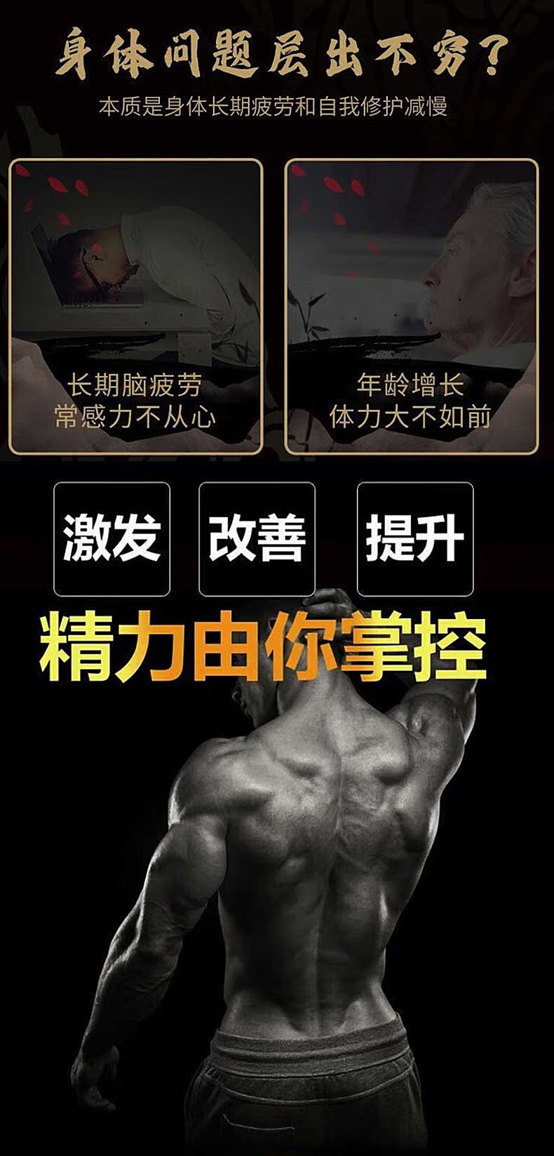 a6.jpg